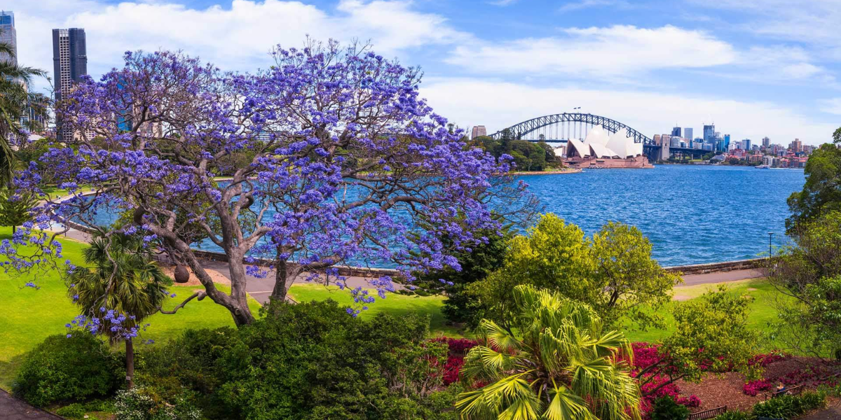 du-lich-uc-sydney-melbourne-2