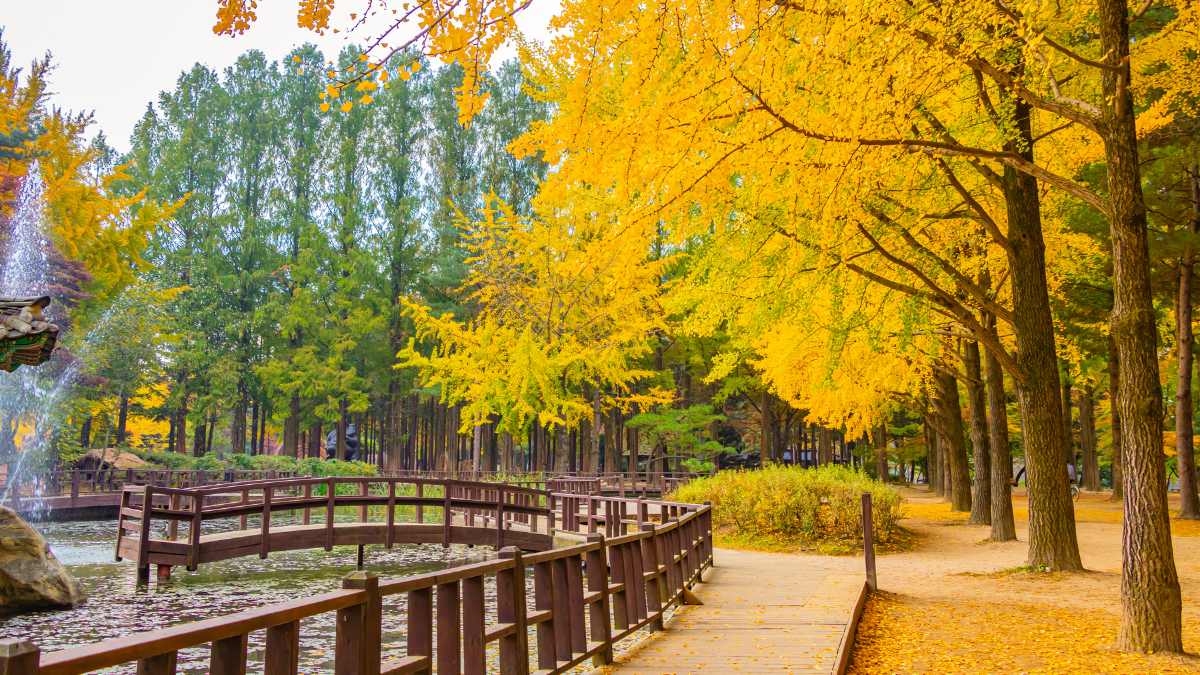 Du lịch Hàn Quốc mùa thu: SEOUL – NAMI – EVERLAND 5N4Đ | Bay Vietjet Ả