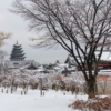 Tour SEOUL – NAMI – LOTTEWORLD 5N4Đ | Mùa Đông Trượt Tuyết