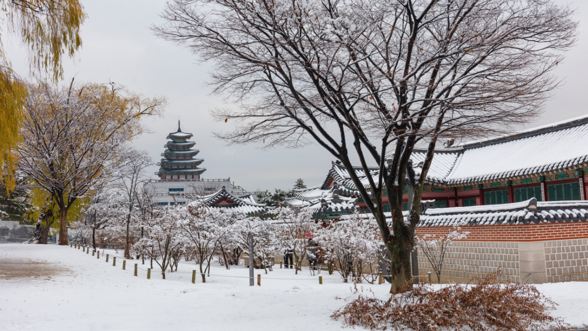 Tour SEOUL – NAMI – LOTTEWORLD 5N4Đ | Mùa Đông Trượt Tuyết